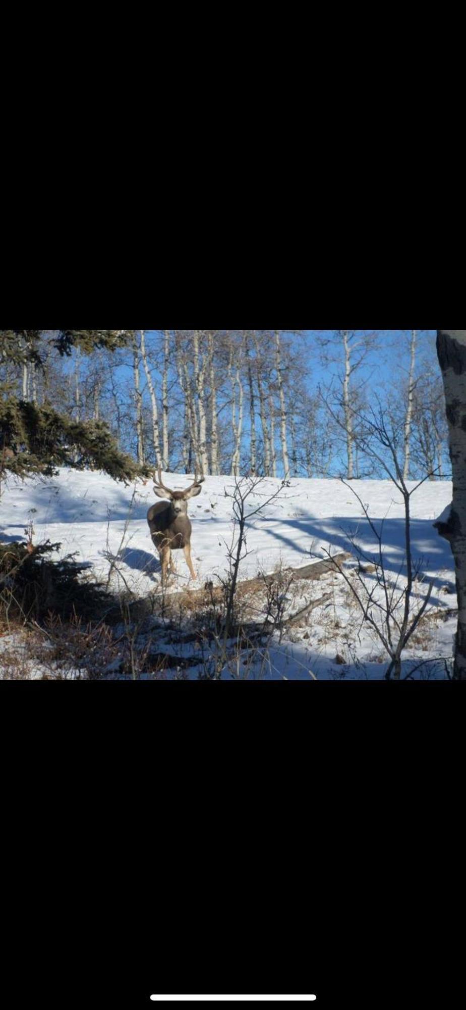 Heart West Haven Villa Priddis Luaran gambar